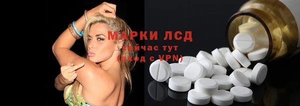 СК Новозыбков