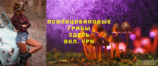 марки lsd Нязепетровск