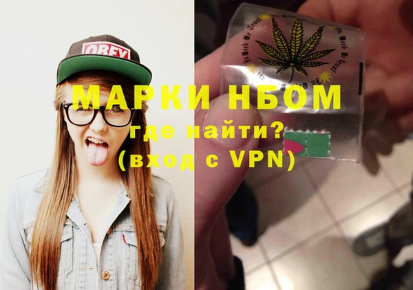 СК Новозыбков