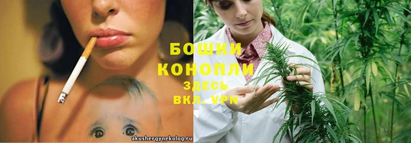 мяу мяу кристалл Няндома