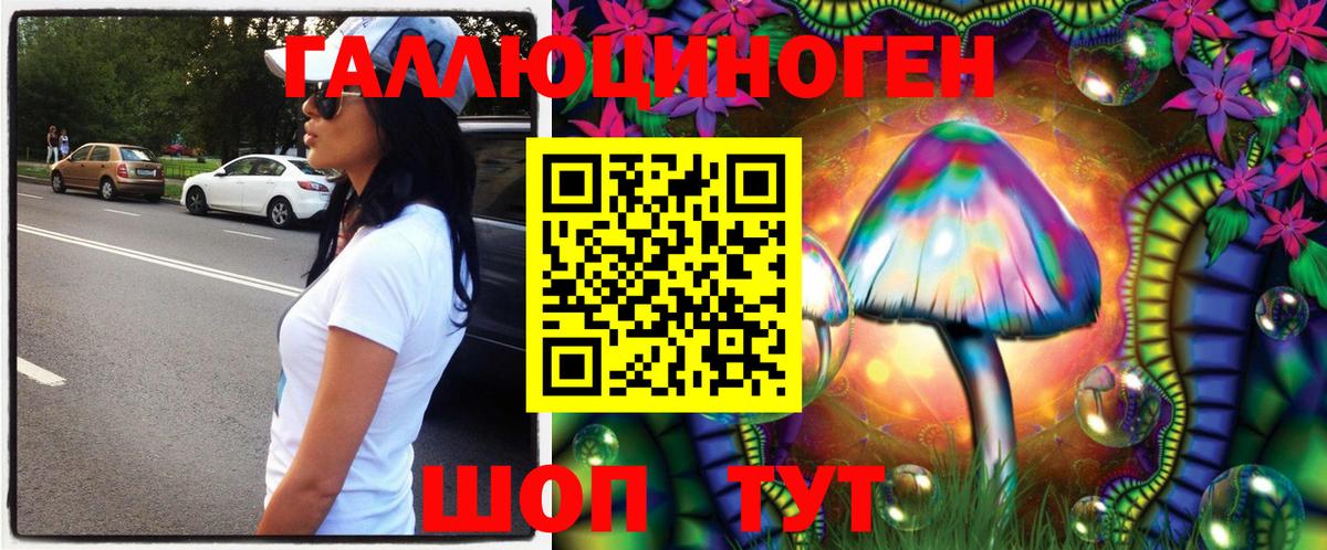 Галлюциногенные грибы Psilocybe  Белореченск  Псилоцибиновые грибы Magic Shrooms 