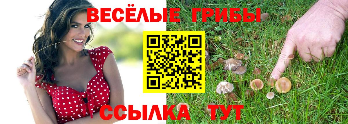 Псилоцибиновые грибы прущие грибы Белореченск